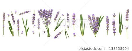 Beautiful lavender flowers in varied arrangements, PNG 138338994