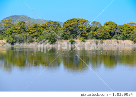 A nature-rich lakeside park for bird watching and waterside scenery. A nature-rich lakeside park for bird watching and waterside scenery. 138339054