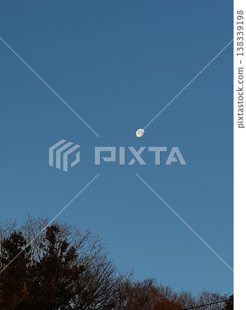 The moon floating in the blue winter sky 138339198