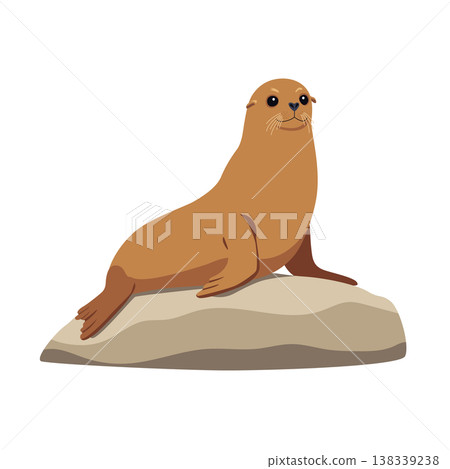 一隻海獅趴在岩石上休息。 一隻海獅趴在岩石上休息。 138339238