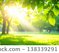 在綠意盎然的公園裡，陽光透過樹葉灑下斑駁的光影，營造出充滿活力的嫩葉景象和充滿希望的初夏景色。 138339291
