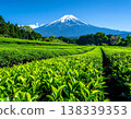 富士山和廣闊的茶園－靜岡縣初夏的陽光下，綠意盎然，構成了一幅美麗的風景畫。 138339353