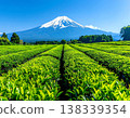 富士山和廣闊的茶園－靜岡縣初夏的陽光下，綠意盎然，構成了一幅美麗的風景畫。 138339354