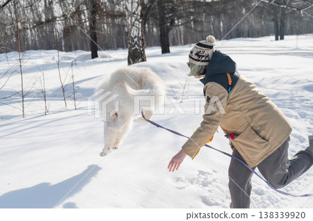 Young woman walking with fluffy samoyed dog in snowy winter park. Young woman walking with fluffy samoyed dog in snowy winter park. 138339920