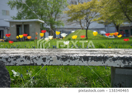 Flowerbed and white bench Flowerbed and white bench 138340465