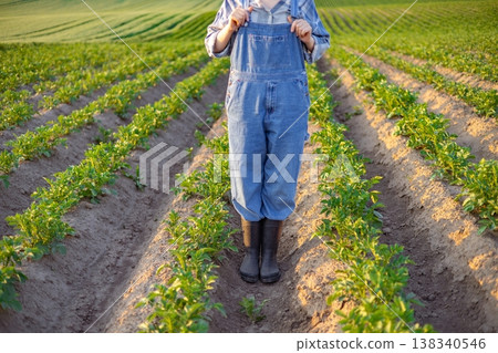 A person wearing denim overalls and rubber boots stands in a field of young potato plants during golden hour 138340546