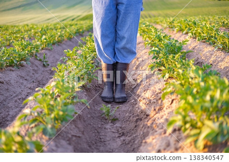 A person wearing blue overalls and rubber boots stands in a freshly tilled field of young potato plants during golden hour A person wearing blue overalls and rubber boots stands in a freshly tilled field of young potato plants during golden hour 138340547