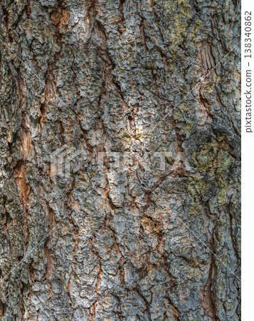Bark texture and background of a old fir tree trunk. Detailed bark texture. Natural background Bark texture and background of a old fir tree trunk. Detailed bark texture. Natural background 138340862