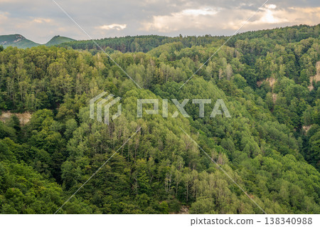 Summer Mountains Landscape with Green forest. Summer Mountains Landscape with Green forest. 138340988