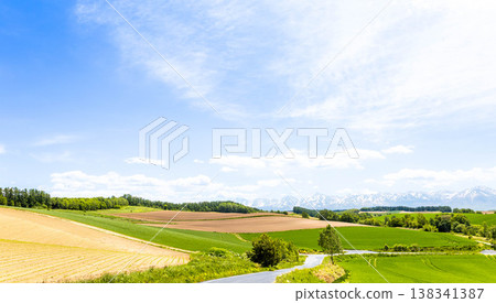 A refreshing spring scene in Biei, Hokkaido, under a clear blue sky. 138341387