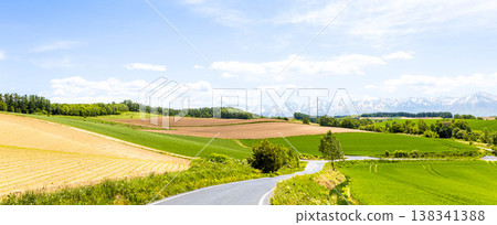 A refreshing spring scene in Biei, Hokkaido, under a clear blue sky. A refreshing spring scene in Biei, Hokkaido, under a clear blue sky. 138341388