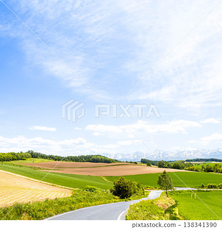 A refreshing spring scene in Biei, Hokkaido, under a clear blue sky. A refreshing spring scene in Biei, Hokkaido, under a clear blue sky. 138341390