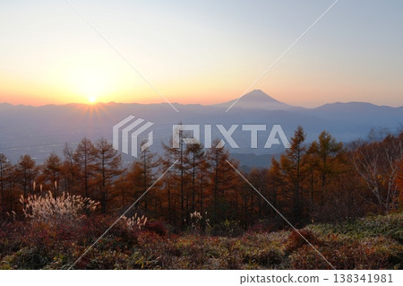 A view of Mount Fuji and the sunrise from the larch forest of Amariyama, bathed in orange light. A view of Mount Fuji and the sunrise from the larch forest of Amariyama, bathed in orange light. 138341981