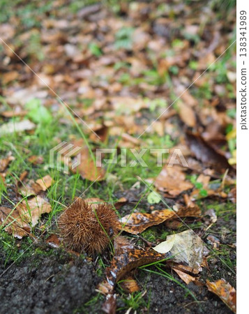 Autumn plateau 138341989