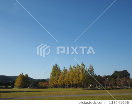 秋高原 秋高原 138341996