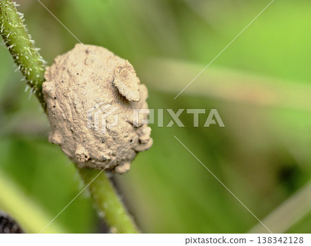 A kind of nest of tokribachi 138342128