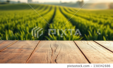 Empty rustic wooden table foreground with a blurred background of a lush green agricultural field under soft sunlight. Empty rustic wooden table foreground with a blurred background of a lush green agricultural field under soft sunlight. 138342886