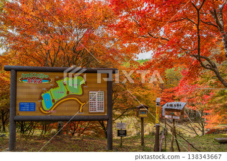 Takadoya Wetlands in Toyota City (Aichi Prefecture) Takadoya Wetlands in Toyota City (Aichi Prefecture) 138343667