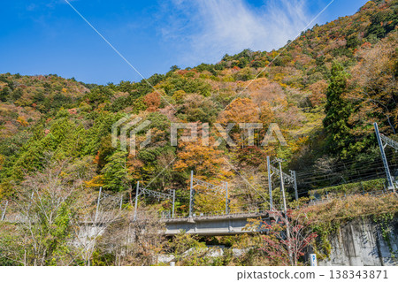 Autumn foliage around Nagashima Dam in Kawane Town (Shizuoka Prefecture) 138343871