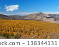 A view of the larch forest and Mt. Kurumayama bathed in golden light, as seen from Venus Line Sunset Hill Park. Ver1 138344131