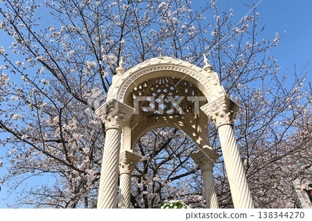 櫻花和對象 櫻花和對象 138344270