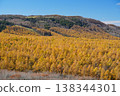 A view of the larch forest bathed in golden light, seen from Venus Line Sunset Hill Park (Version 2) 138344301