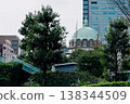 The cathedral as seen through the gaps in the street trees 138344509