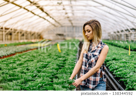 Young woman buying flowers at a garden center color toned image shallow DOF. Young woman buying flowers at a garden center color toned image shallow DOF. 138344592