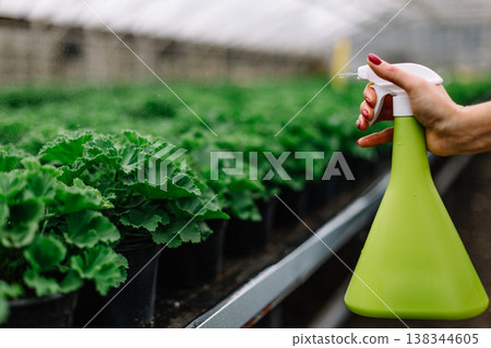 Woman with gloves spraying a blooming fruit tree against plant diseases and pests. Use hand sprayer with pesticides in the garden Woman with gloves spraying a blooming fruit tree against plant diseases and pests. Use hand sprayer with pesticides in the garden 138344605