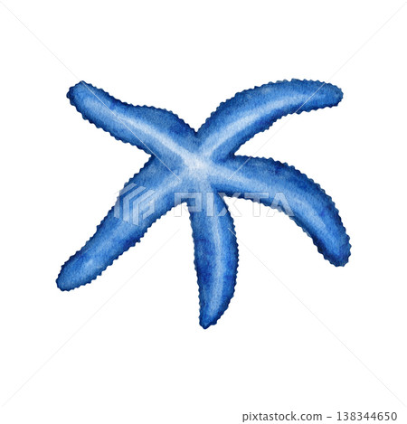 Watercolor hand drawn illustration of starfish. Nature oceac sea seashore life, summer vacation holiday getaway elements, marine life isolated marine invertebrates zoo animal. Watercolor hand drawn illustration of starfish. Nature oceac sea seashore life, summer vacation holiday getaway elements, marine life isolated marine invertebrates zoo animal. 138344650