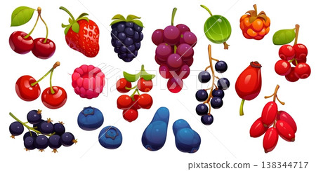 Cartoon berry set with juicy cherry, raspberry, strawberry and blueberry, barberry, black currant, gooseberry and grape, ripe rosehip, sea buckthorn, cloudberry. Vector summer berries Cartoon berry set with juicy cherry, raspberry, strawberry and blueberry, barberry, black currant, gooseberry and grape, ripe rosehip, sea buckthorn, cloudberry. Vector summer berries 138344717