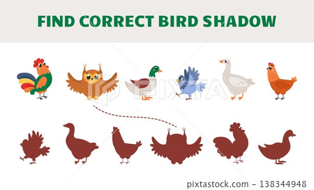 Children educational and attention play with cartoon birds. Find correct bird shadow. Connect goose, duck, owl, chicken, pigeon with corrects shadows, vector template Children educational and attention play with cartoon birds. Find correct bird shadow. Connect goose, duck, owl, chicken, pigeon with corrects shadows, vector template 138344948