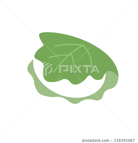 Children's Day materials: Simple illustration of kashiwa mochi (rice cake wrapped in an oak leaf) - Children's Day, May materials, Japanese sweets Children's Day materials: Simple illustration of kashiwa mochi (rice cake wrapped in an oak leaf) - Children's Day, May materials, Japanese sweets 138345067