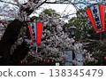 Lanterns decorated with cherry blossoms 138345479