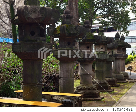 Ueno Toshogu Shrine Lanterns 138345481