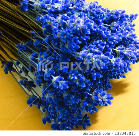 A bouquet of lavender, the brand image of Furano, Hokkaido in summer. A bouquet of lavender, the brand image of Furano, Hokkaido in summer. 138345813