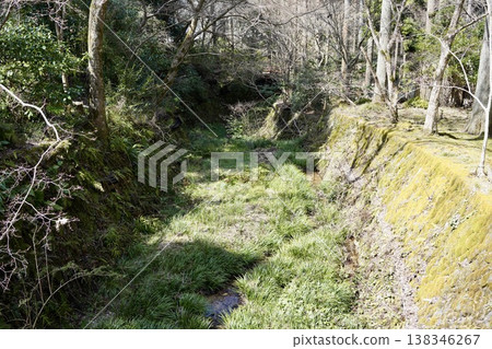 A waterway overgrown with weeds 138346267