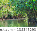 一條長滿紅樹林的河流 138346293
