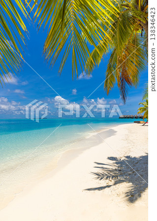 Tropical beach with palm leaves and ocean view, relaxing summer paradise landscape background Tropical beach with palm leaves and ocean view, relaxing summer paradise landscape background 138346423