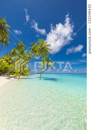 Perfect tropical island beach with blue ocean and sunny sky, idyllic summer vacation paradise vertical background design Perfect tropical island beach with blue ocean and sunny sky, idyllic summer vacation paradise vertical background design 138346430