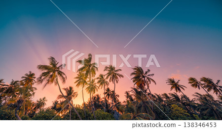 Panoramic tropical sunset with palm tree silhouettes, dramatic clouds and golden rays, stunning nature scenery background 138346453