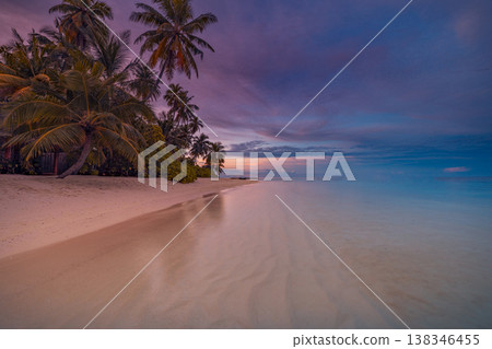 Gorgeous sunset beach with palm trees and calm ocean, relaxing tropical summer nature background 138346455
