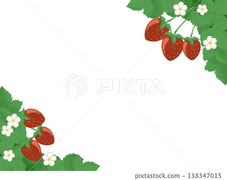 草莓和草莓花框 138347015