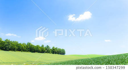A refreshing scene of Biei, Hokkaido, in early summer, with a clear blue sky. 138347299