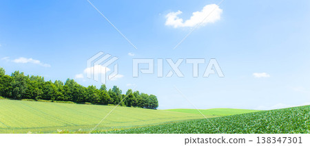 A refreshing scene of Biei, Hokkaido, in early summer, with a clear blue sky. 138347301