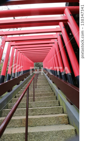 Torii Torii 138347341