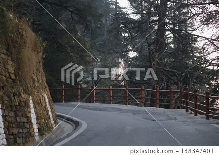 Peaceful winding road through pine forests near Shimla, perfect for scenic drives and mountain travel photography. 138347401