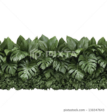Lush green tropical leaves form dense, vibrant foliage border, creating natural and refreshing atmosphere. variety of leaf shapes and textures adds depth and interest to scene 138347643