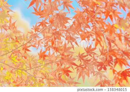 背景素材:絢麗的秋葉 背景素材:絢麗的秋葉 138348015