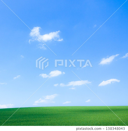 The refreshing blue sky, white clouds, and fields of green wheat create a striking summer scene in Biei, Hokkaido. The refreshing blue sky, white clouds, and fields of green wheat create a striking summer scene in Biei, Hokkaido. 138348043
